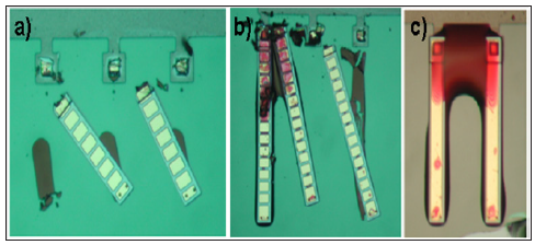 Click here to view Large Figure 3