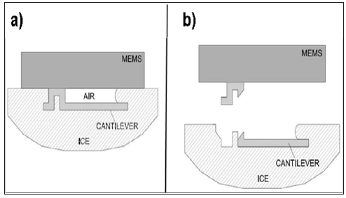 Click here to view Large Figure 6