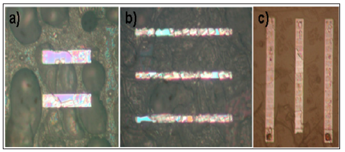 Click here to view Large Figure 7