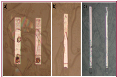 Click here to view Large Figure 8