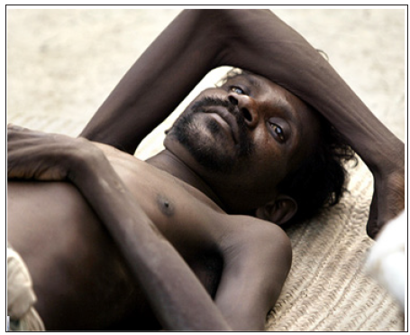 Click here to view Large Figure 1