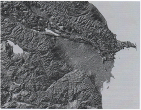 Click here to view Large Figure 5