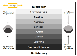 Click here to view Large Illustration 2