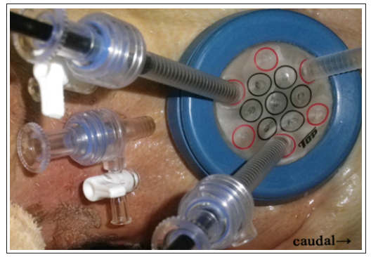 Click here to view Large Figure 1