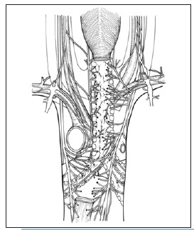 Click here to view Large Figure 3