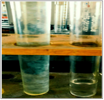 Click here to view Large Figure 3