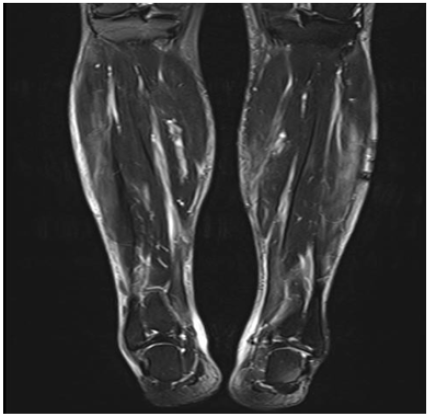 Click here to view Large Figure 1