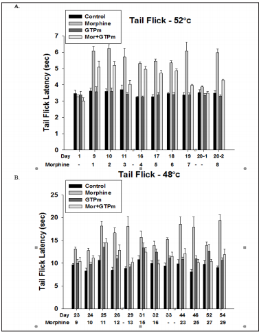Click here to view Large Figure 1