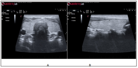 Click here to view Large Figure 1