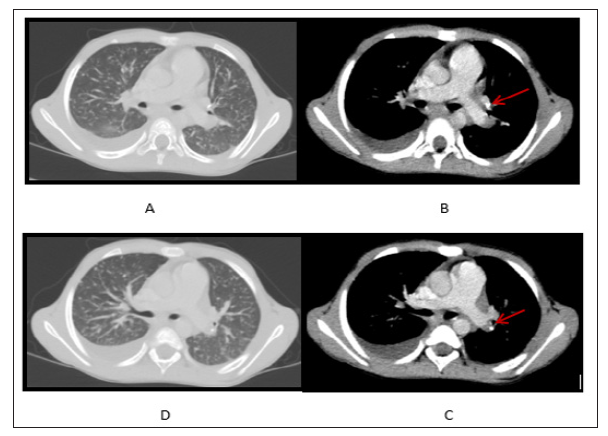 Click here to view Large Figure 1