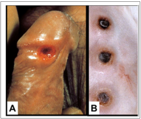 Click here to view Large Figure 1