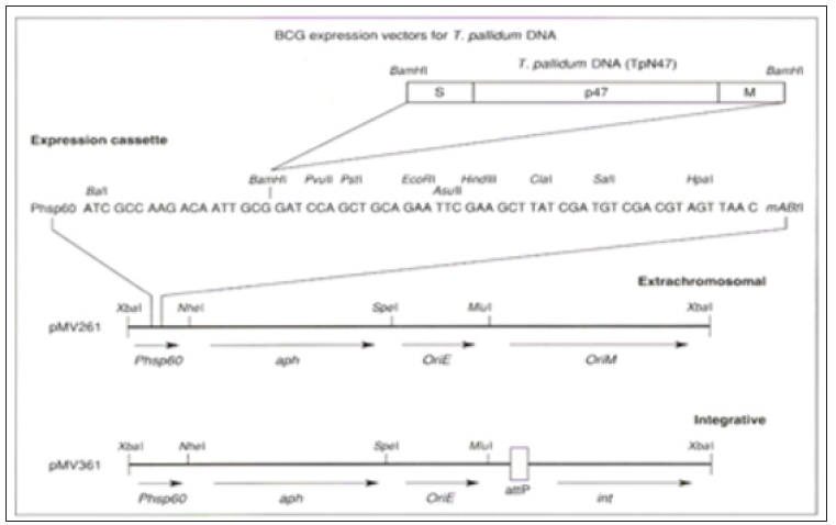 Click here to view Large Figure 4