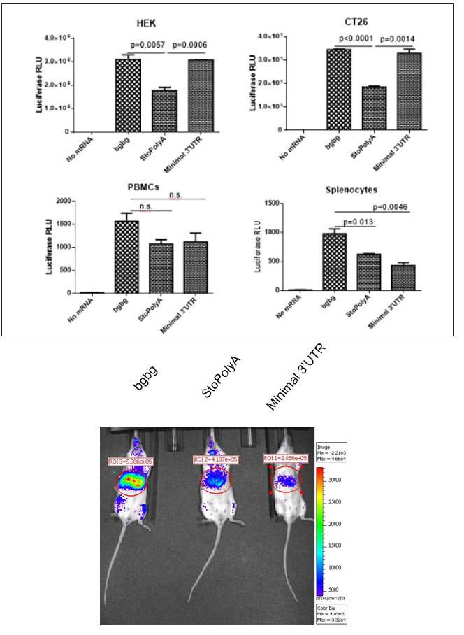 Click here to view Large Figure 1