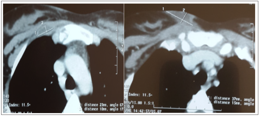 Click here to view Large Figure 2