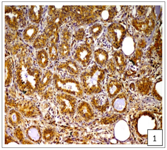 Click here to view Large Figure 1