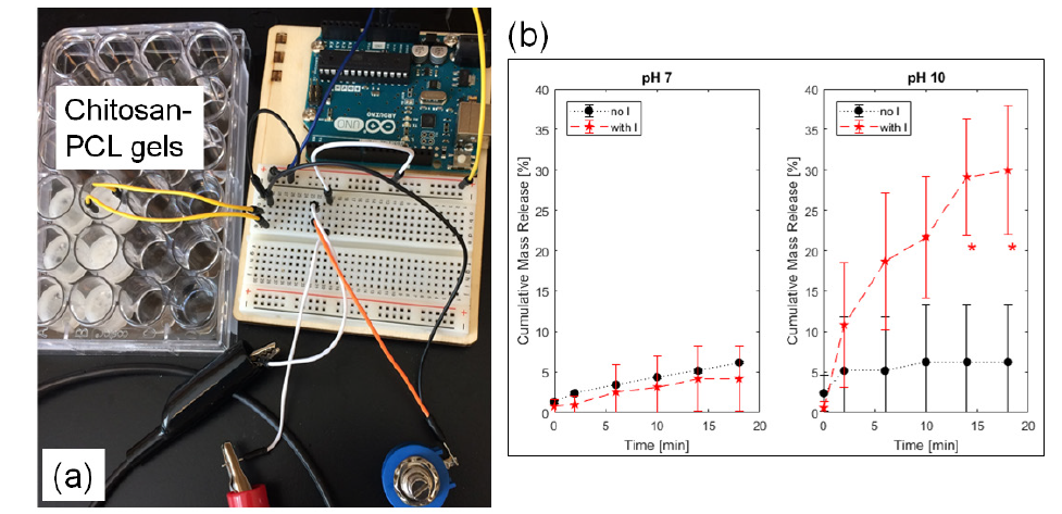 Click here to view Large Figure 2
