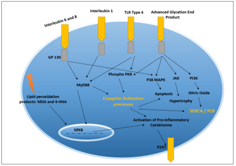 Click here to view Large Figure 1