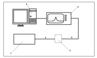 Click here to view Large Figure 1