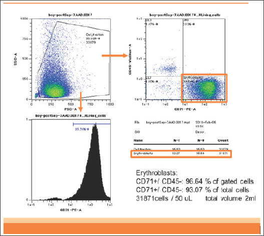 Click here to view Large Figure 1 biomedres-openaccess-journal-bjstr