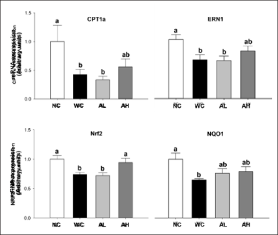 Click here to view Large Figure 1 biomedres-openaccess-journal-bjstr