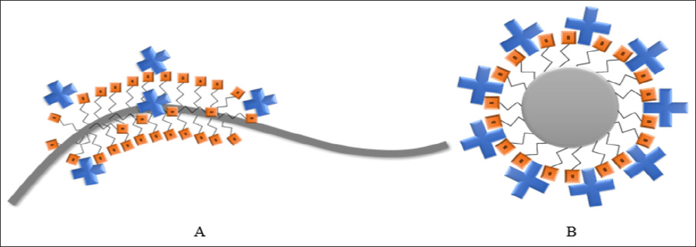 Click here to view Large Figure 1 biomedres-openaccess-journal-bjstr