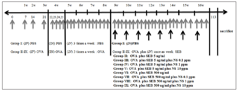 Click here to view Large Figure 1 biomedres-openaccess-journal-bjstr