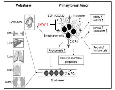 Click here to view Large Figure 1 biomedres-openaccess-journal-bjstr