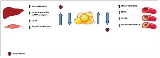 Click here to view Large Figure 1 biomedres-openaccess-journal-bjstr