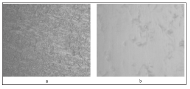 Click here to view Large Figure 3 biomedres-openaccess-journal-bjstr