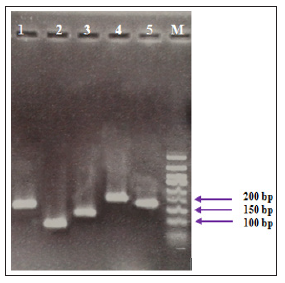 Click here to view Large Figure 1 biomedres-openaccess-journal-bjstr