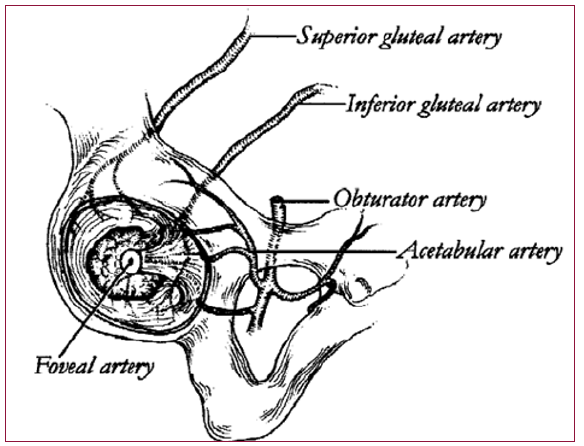Click here to view Large Figure 10 biomedres-openaccess-journal-bjstr