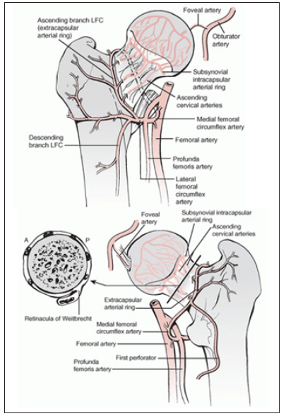 Click here to view Large Figure 11 biomedres-openaccess-journal-bjstr