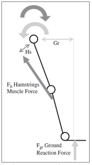 Click here to view Large Figure 15 biomedres-openaccess-journal-bjstr