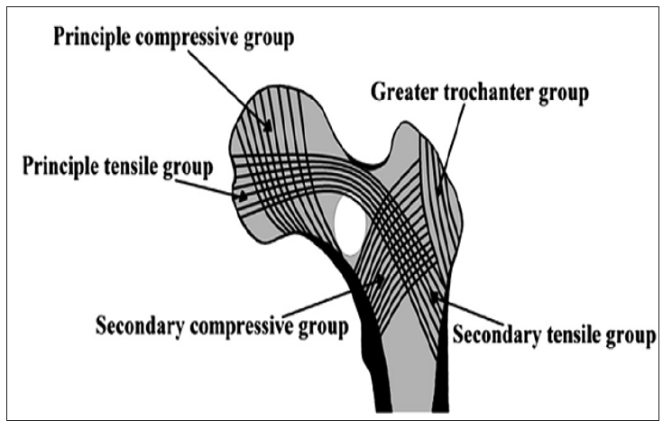 Click here to view Large Figure 8 biomedres-openaccess-journal-bjstr