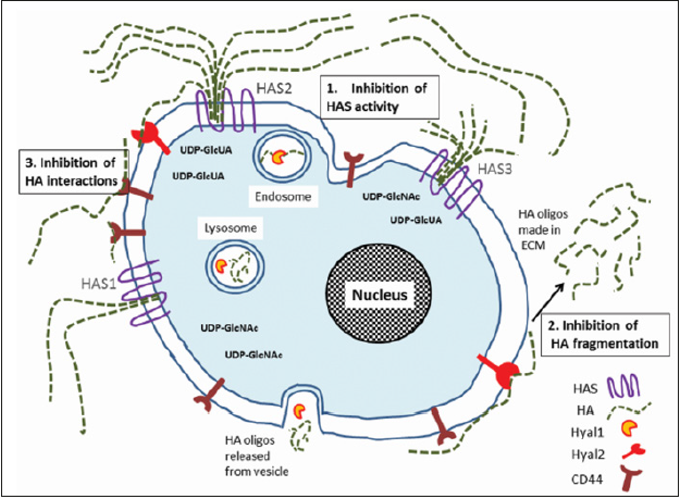 biomedres-openaccess-journal-bjstr