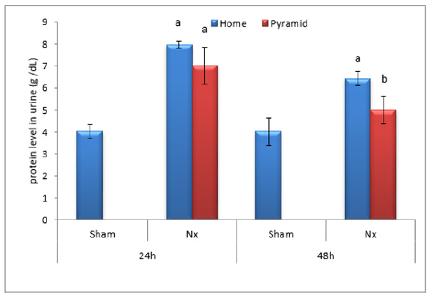 Click here to view Large Figure 2 biomedres-openaccess-journal-bjstr
