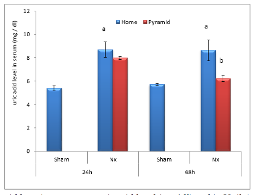 Click here to view Large Figure 7 biomedres-openaccess-journal-bjstr