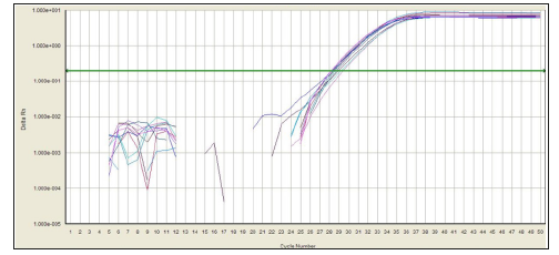 biomedres-openaccess-journal-bjstr