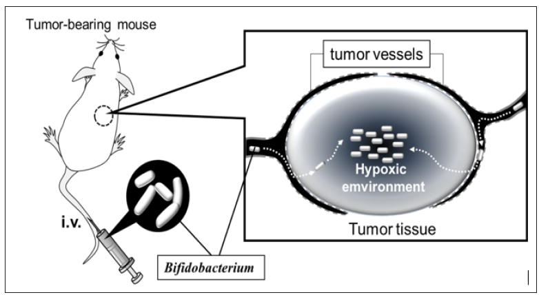 Click here to view Large Figure 1 biomedres-openaccess-journal-bjstr