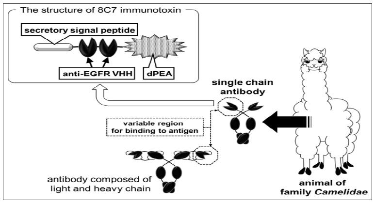 Click here to view Large Figure 2 biomedres-openaccess-journal-bjstr