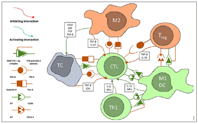 Click here to view Large Figure 1 biomedres-openaccess-journal-bjstr