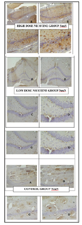 Click here to view Large Figure 3 biomedres-openaccess-journal-bjstr