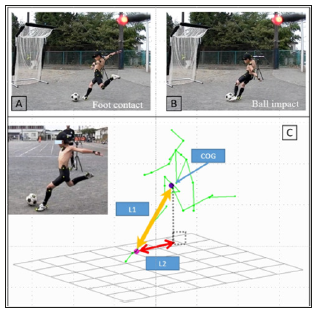 Click here to view Large Figure 2 biomedres-openaccess-journal-bjstr