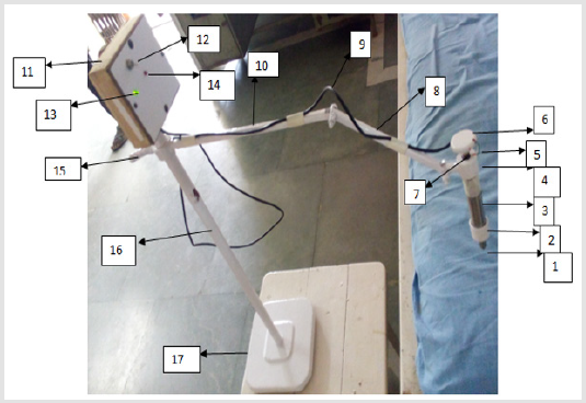Click here to view Large Figure 4 biomedres-openaccess-journal-bjstr