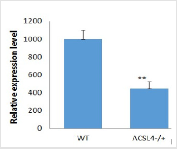 biomedres-openaccess-journal-bjstr