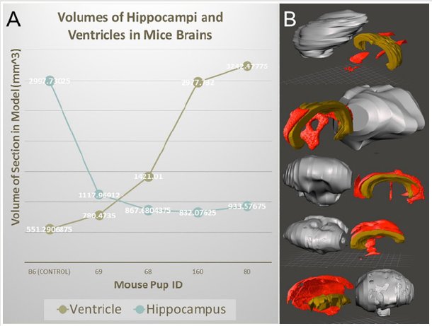 biomedres-openaccess-journal-bjstr
