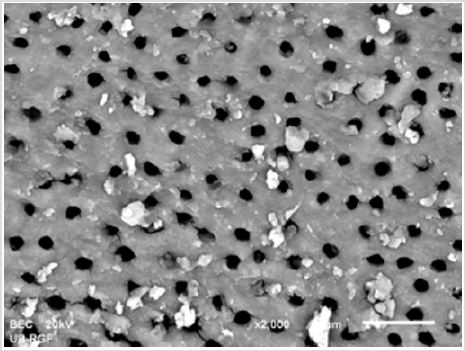 biomedres-openaccess-journal-bjstr