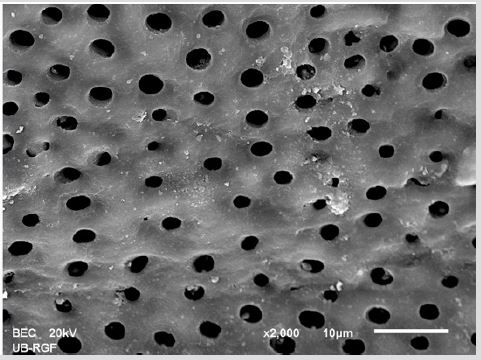 biomedres-openaccess-journal-bjstr