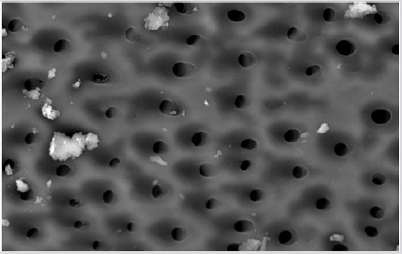 biomedres-openaccess-journal-bjstr