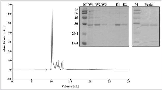 biomedres-openaccess-journal-bjstr